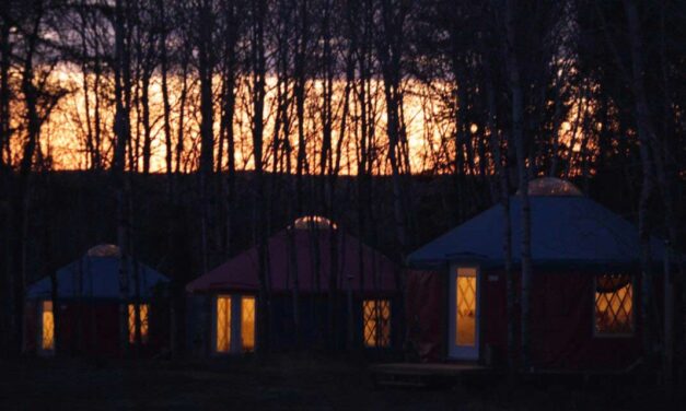 5 raisons de séjourner en couple ou en famille en yourte au Domaine L&rsquo;Orée des Bois
