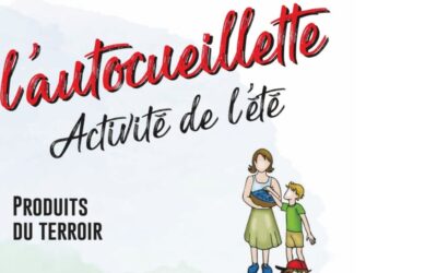 Où faire de l&rsquo;autocueillette dans la MRC de Maria-Chapdelaine?