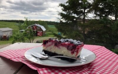 Recette : Gâteau au fromage et aux camerises