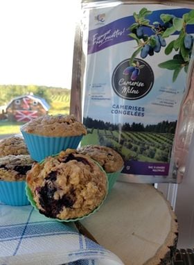 Recette : Muffins aux camerises, aux dattes et aux courgettes