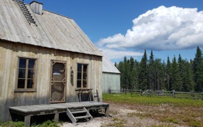 Cet été, visitez le site de tournage du film Maria-Chapdelaine à Normandin!