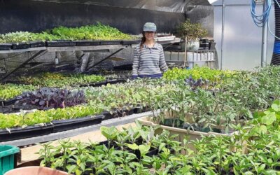 Le Potager de Valérie
