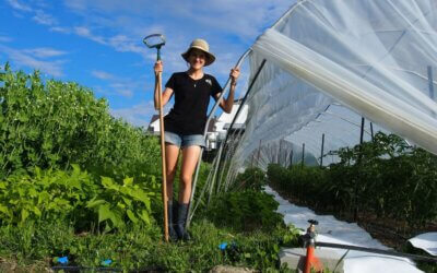 Les Petits Jardins de Normandin