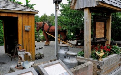 Quoi faire à Saint-Edmond-les-Plaines ?