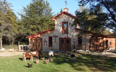 La ferme Dan Nature : un havre de nature