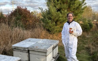 Miel Picard : Les abeilles, une tradition familiale