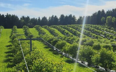 Nos entreprises agricoles et maraîchères
