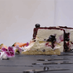 Recette du Gâteau Forêt Boréale