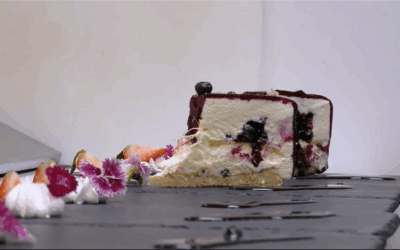 Recette du Gâteau Forêt Boréale