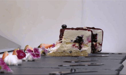 Recette du Gâteau Forêt Boréale